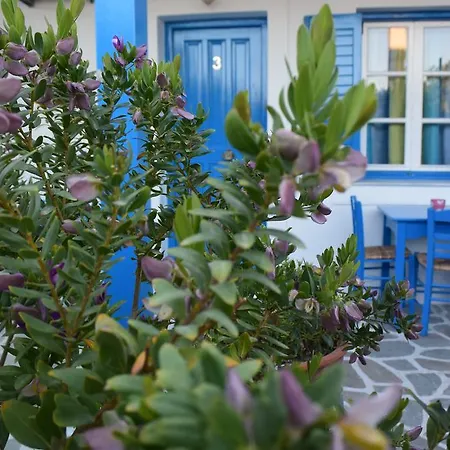 Apartment Helen's Minimal & Aliki (Paros)