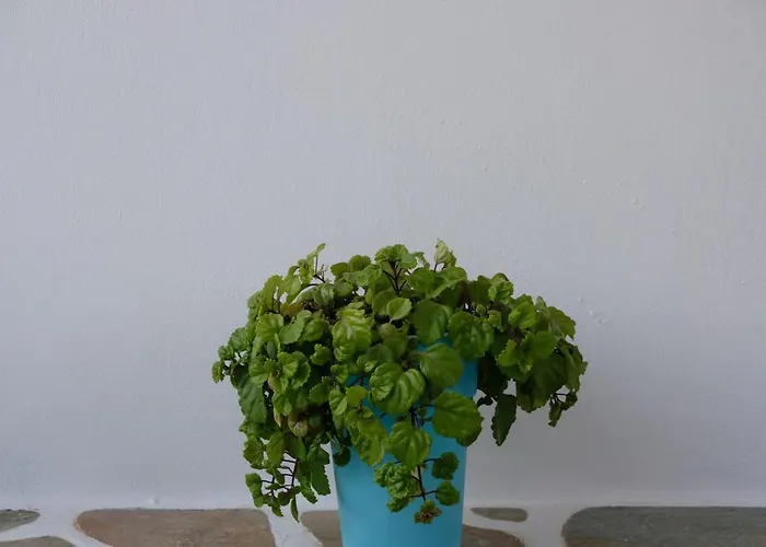 شقة Helen's Minimal & *