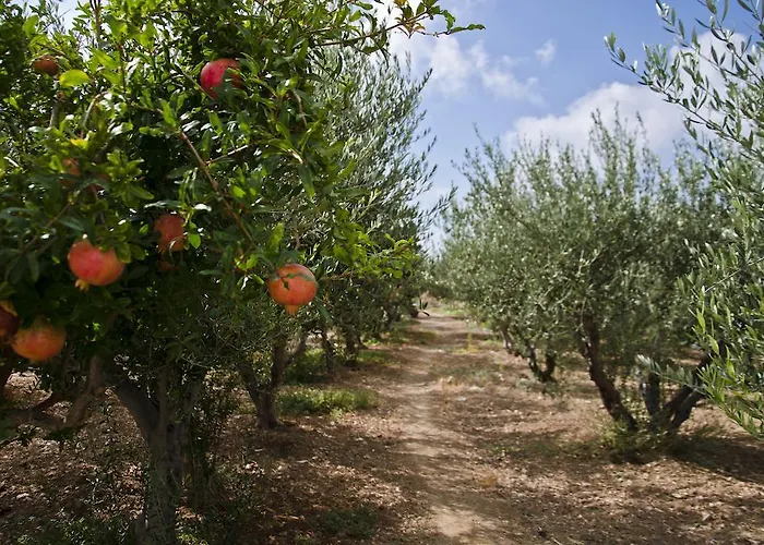 Apartment Helen's Minimal & Aliki (Paros)